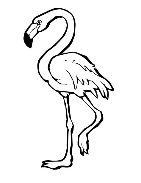 Free for commercial use High Quality Images. . Flamingo clipart black and white